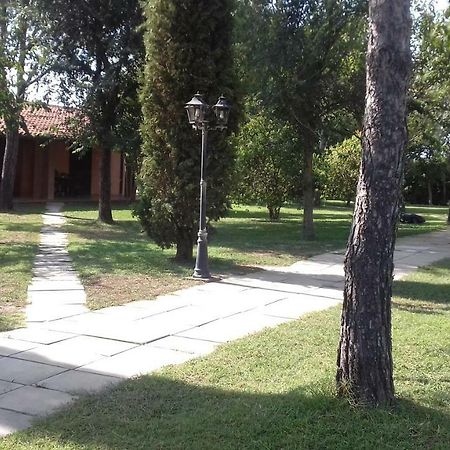 Le Tamerici Casa de hóspedes Principina Terra Exterior foto